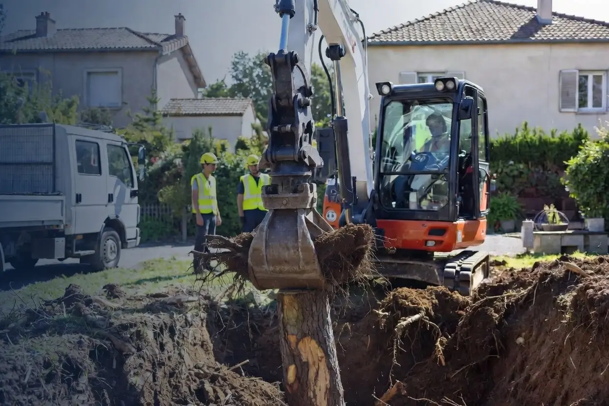 Dessouchage de terrain