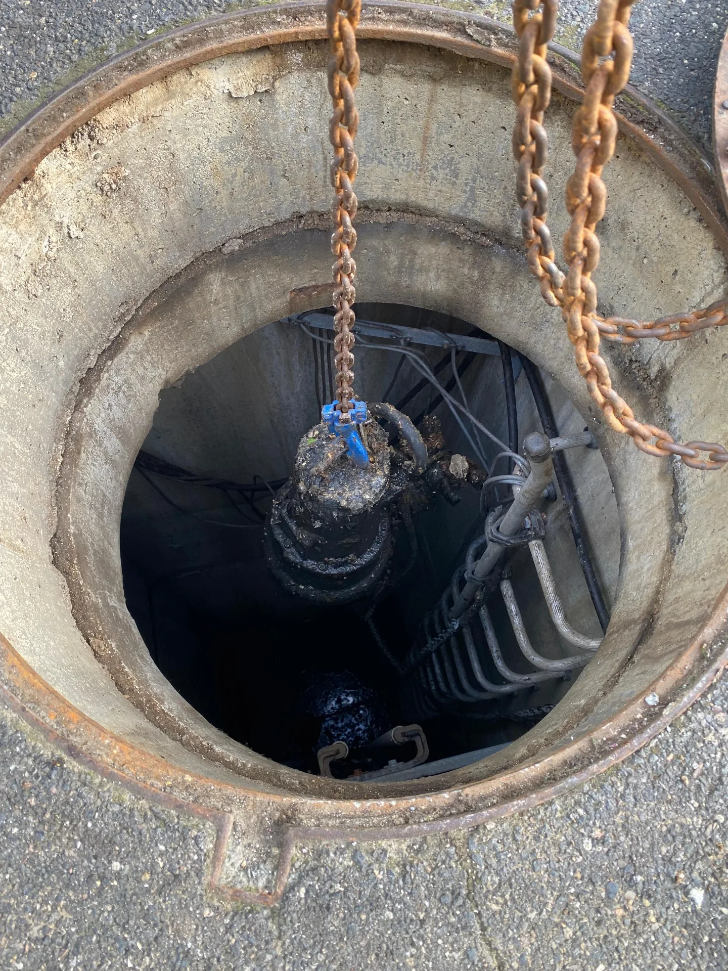 Extraction pompe de relevage